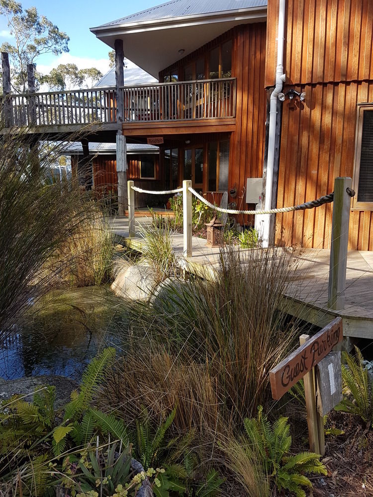 Bed In The Treetops B&B St Helens Exterior foto